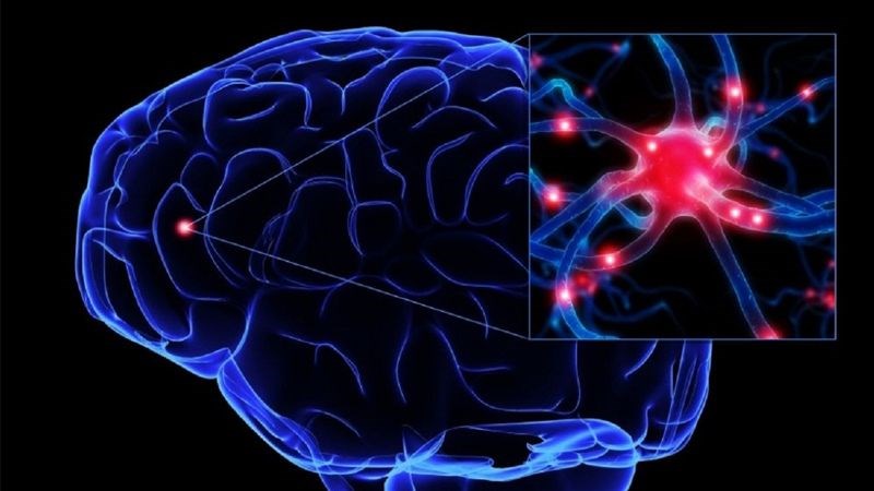 Rối Loạn Thần Kinh Thực Vật